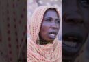 Sudanese who fled el-Fasher share their story | DW News
