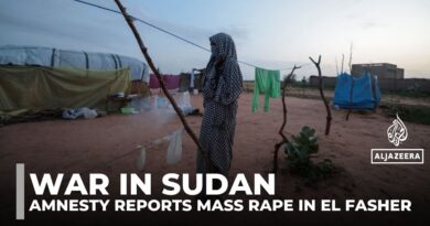 Sudan’s RSF committing war crimes in Darfur, says Amnesty