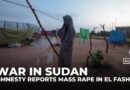 Sudan’s RSF committing war crimes in Darfur, says Amnesty
