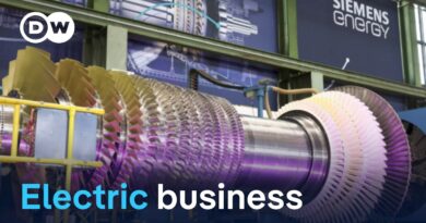 Surging demand for gas and grid boosts Siemens Energy | DW News