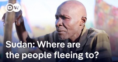 Survivors describe their escape from Sudan’s el-Fasher when RSF took control | DW News
