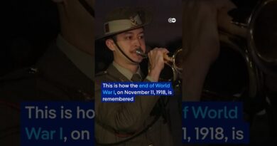 Sydney Opera House pays tribute to war dead | DW News