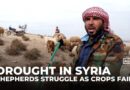Syria drought worsens: Farmers and shepherds struggle as crops fail and dams run dry