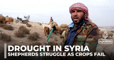 Syria drought worsens: Farmers and shepherds struggle as crops fail and dams run dry