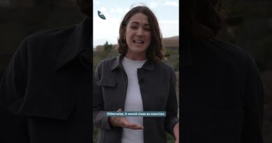 Tenerife’s squatter crisis | Unreported World