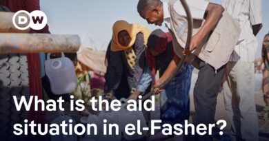 Tens of thousands trapped in Sudan’s city of el-Fasher after RSF seized city | DW News