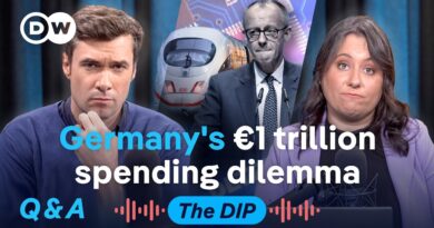 Tesla’s valuation trouble and Germany’s spending struggle | The Dip Podcast