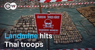 Thailand suspends truce with Cambodia after troops injured by landmine blast | DW News