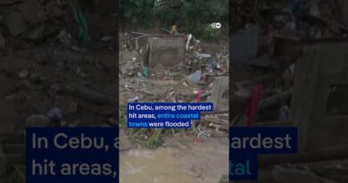 The aftermath of typhoon Kalmaegi in the Philippines | DW News