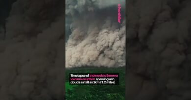The highest volcano on Indonesia’s Java Island erupted #indonesia #volcano