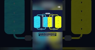 The liquid power revolution | DW News