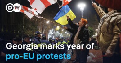 The opposition claims that Georgia is becoming increasingly similar to Russia politically | DW News