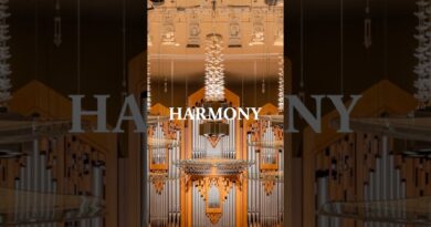 The search for harmony in the modern world starts here