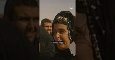 The secret wall in the Sahara | DW News