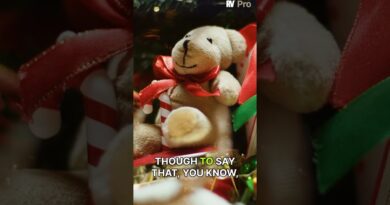 The Soft Bear in Crypto: 40% Decline and Why Survival Matters 🐻💻