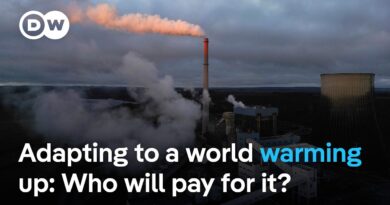 ‘The transition away from fossil fuels and adaptation’ to dominate COP30 agenda – analyst | DW News