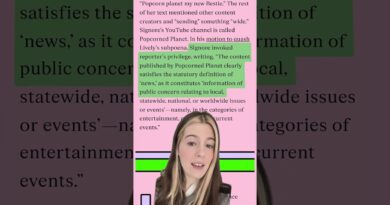 This suit also alleges a retaliatory internet smear campaign against Lively.