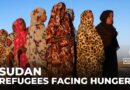 Thousands flee violence in Sudan: Refugees face food shortages, uncertainty