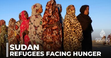 Thousands flee violence in Sudan: Refugees face food shortages, uncertainty