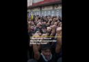 Thousands mourn Hezbollah commander killed by Israel | #ajshorts