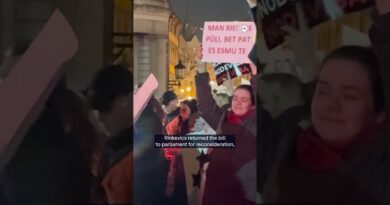 Thousands protest Latvia’s potential withdrawal from Istanbul Convention | DW News