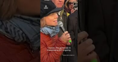 Thunberg and Albanese join pro-Palestine protests in Italy | AJ #shorts