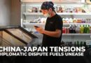 Tokyo-Beijing diplomatic dispute fuels unease among Chinese diaspora in Japan