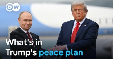 Trump pushes Ukraine to accept heavy concessions to Russia for peace | DW News