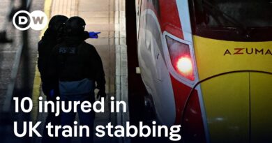 Two men arrested after mass stabbing attack on London-bound train | DW News