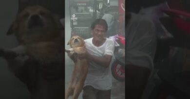 Typhoon Fung-wong destroys homes in the Philippines | AJ #shorts