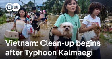 Typhoon Kalmaegi leaves trail of damage in Vietnam | DW News