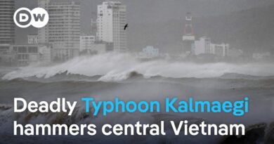 Typhoon Kalmaegi makes landfall in Vietnam | DW News