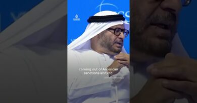 UAE presidential adviser says ‘we all made a mistake’ on Sudan | AJ #shorts