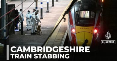 UK police say ‘multiple people’ stabbed on train, two suspects arrested