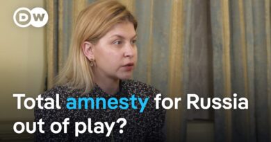 Ukraine’s ambassador to the US on the progress of peace negotiations | DW News