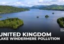 UK’s Lake Windermere faces sewage crisis, threatening wildlife and tourism