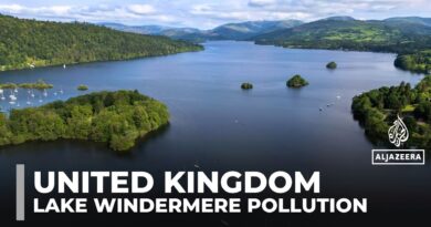 UK’s Lake Windermere faces sewage crisis, threatening wildlife and tourism