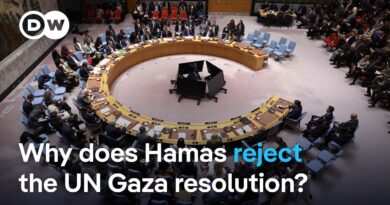 UN backs Trump’s Gaza peace plan: How are Israel and Hamas reacting? | DW News