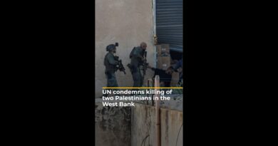 UN condemns ‘summary execution’ of Palestinians in West Bank | AJ #shorts