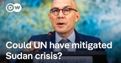 UN: El-Fasher bloodshed is a “stain on the international community” | DW News