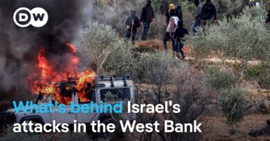 UN reports spike in attacks on Palestinian villages in occupied West Bank | DW News