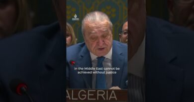 UN Security Council approves US resolution backing Trump’s Gaza plan | AJ #shorts