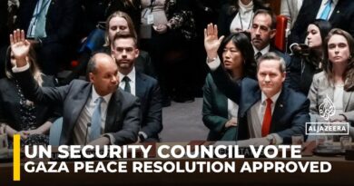 UN Security Council passes US resolution backing international Gaza force