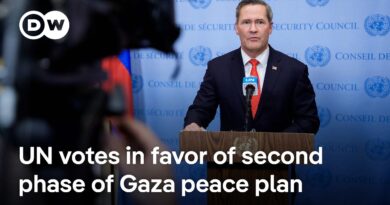 UN votes for second phase of Gaza peace plan to be implemented | DW News