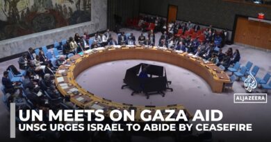 UNSC urges Israel to open more Gaza crossings and abide by ceasefire terms