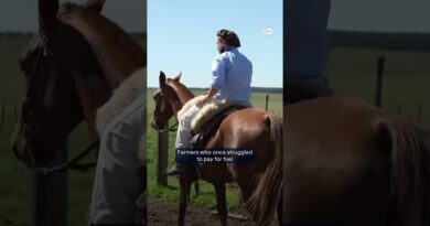 Uruguay’s energy miracle | DW News