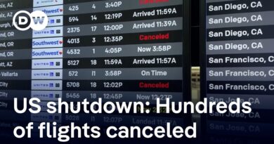 US airlines cancel hundreds of flights due to longest ever government shutdown | DW News
