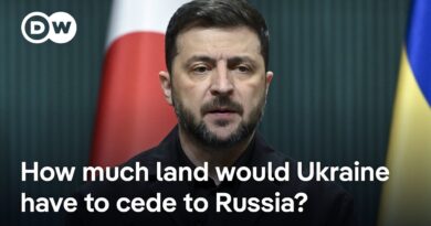 US and Russia working on peace plan wherein Ukraine would give Russia land | DW News