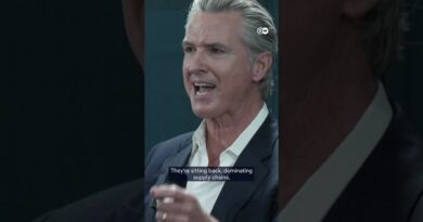 US California Governor Gavin Newsom criticizes Trump at climate summit | DW News