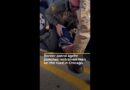 US federal agent in Chicago punches restrained man’s head on the ground | AJ#shorts